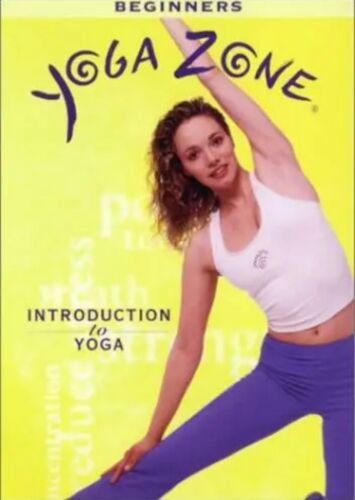 Yoga Zone Introduction to Yoga Beginners DVD w/ Insert Alan Finger OOP *WM2 Default Title