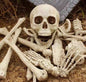 Halloween Skeleton Bones 28pcs Halloween Prop Skeleton Skull Haunted House Horror Accessory Party Decorations Tricky Bones Skull As shown