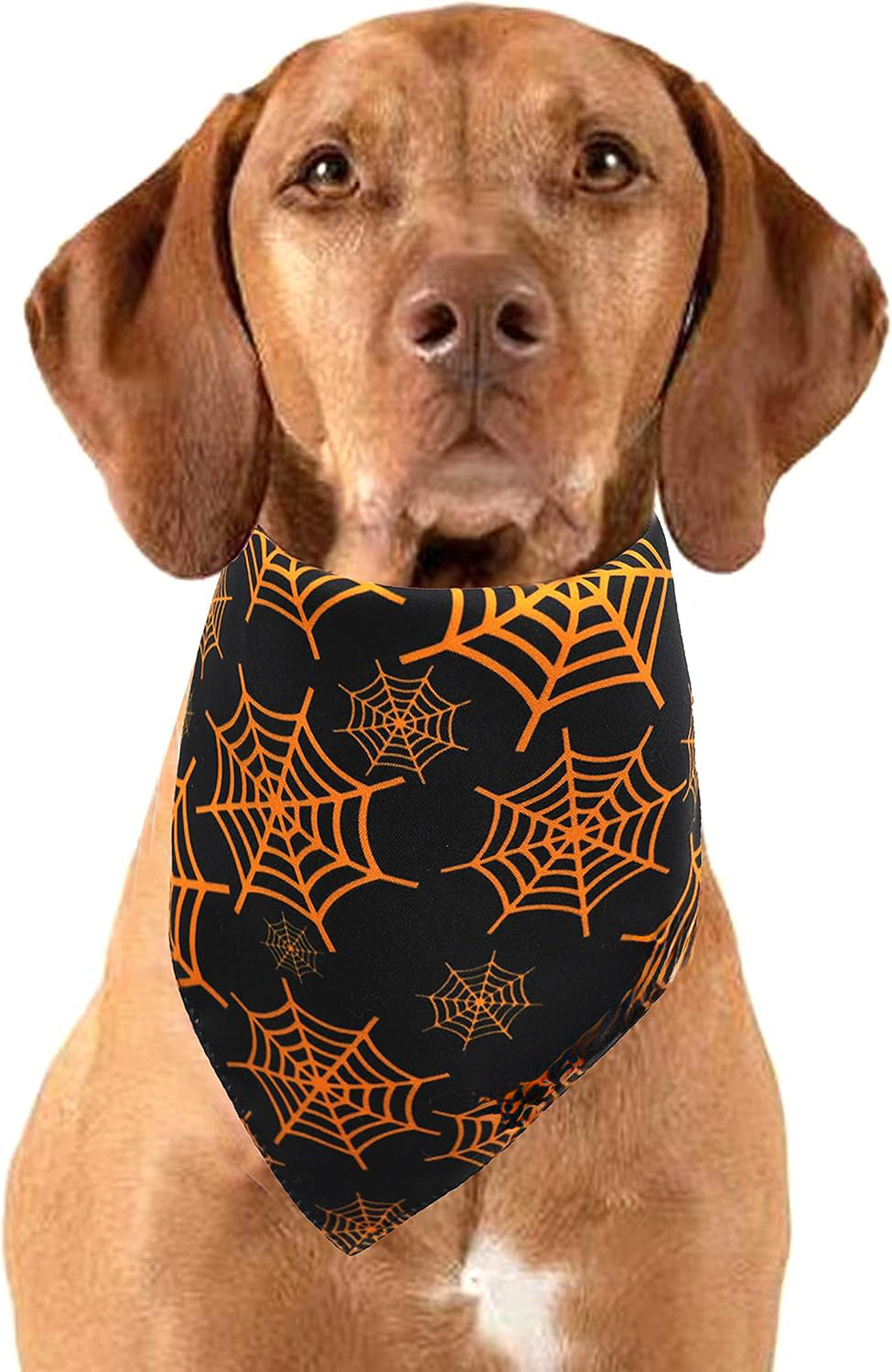 Halloween Dog Bandanas Pumpkin And Spider Web Bibs Triangle Reversible Fall Pet Scarf Premium Durable Fabric Adjustable Fit