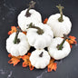 Halloween Doodle Pumpkin White 6pcs